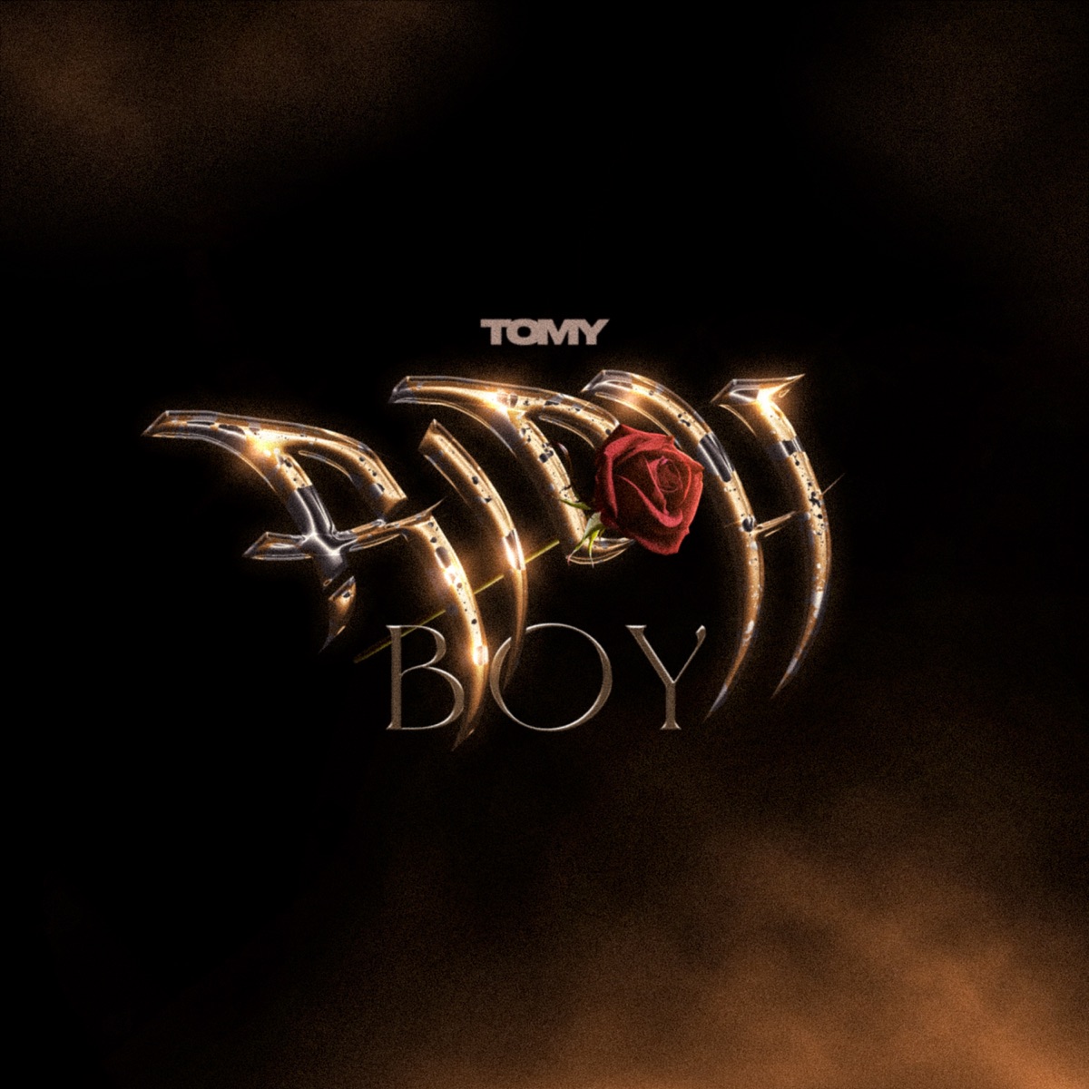 Rich Boy - Single by Tomy album cover