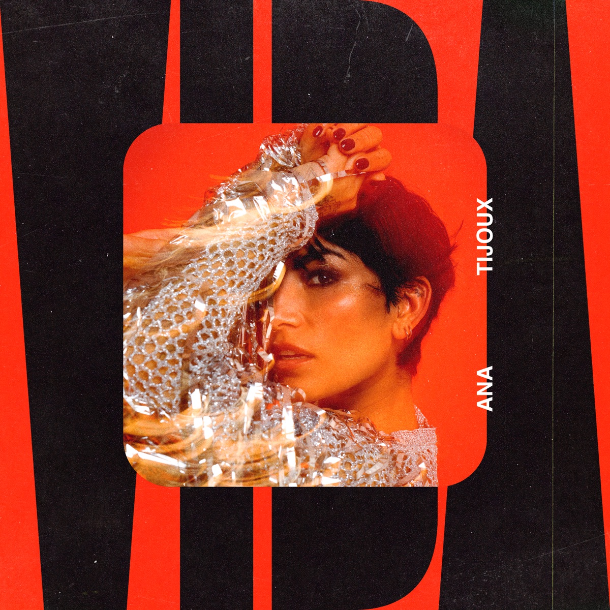 Vida by Ana Tijoux album cover