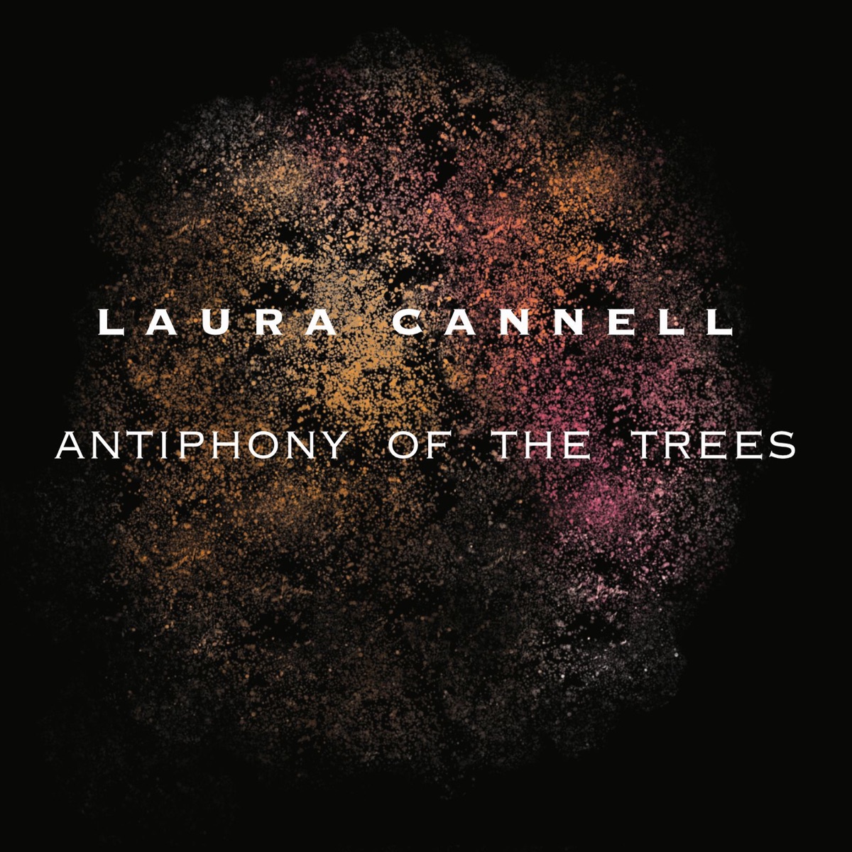 Antiphony of the Trees by Laura Cannell album cover