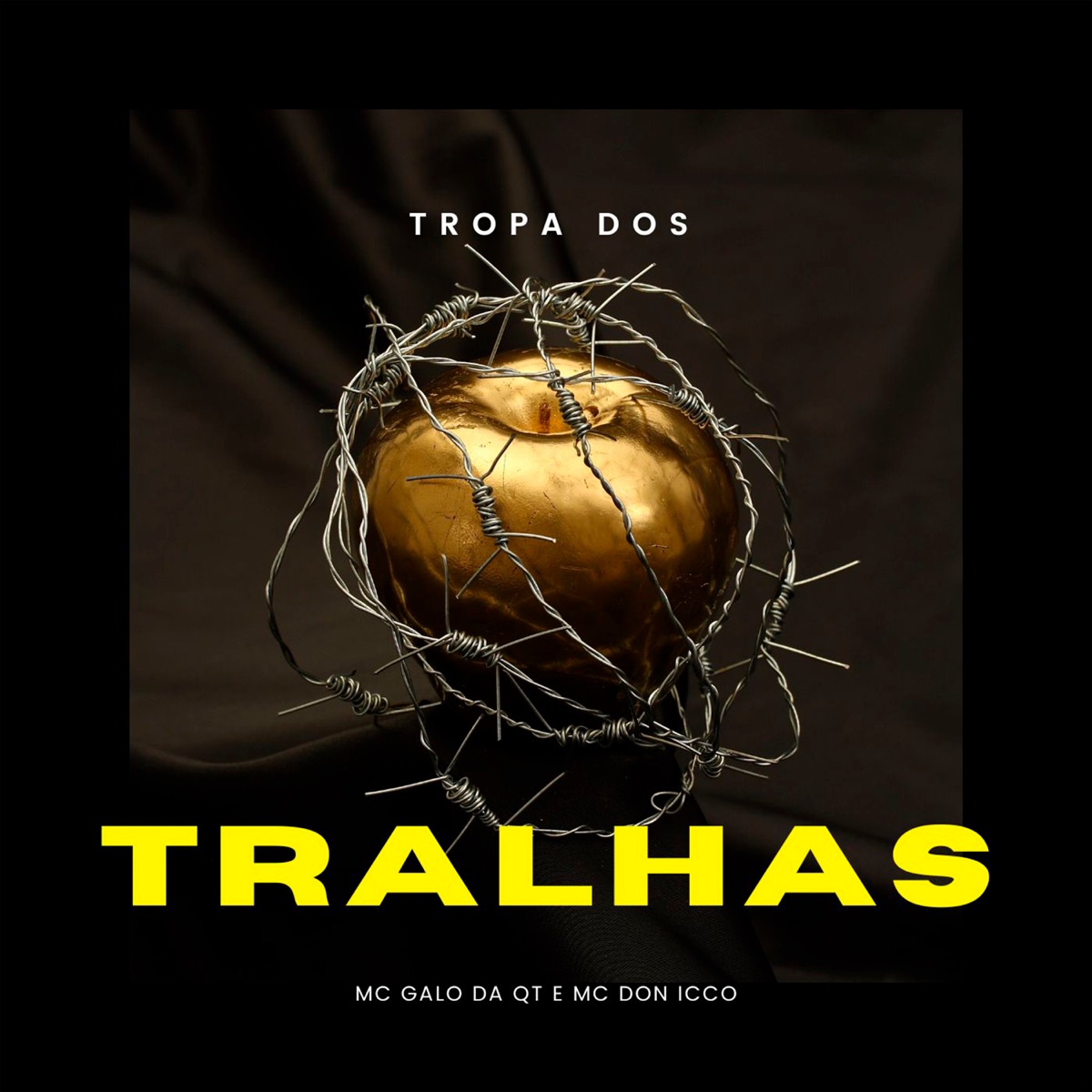 Tropa dos Tralhas - Single by MC Galo da QT & Don Icco album cover