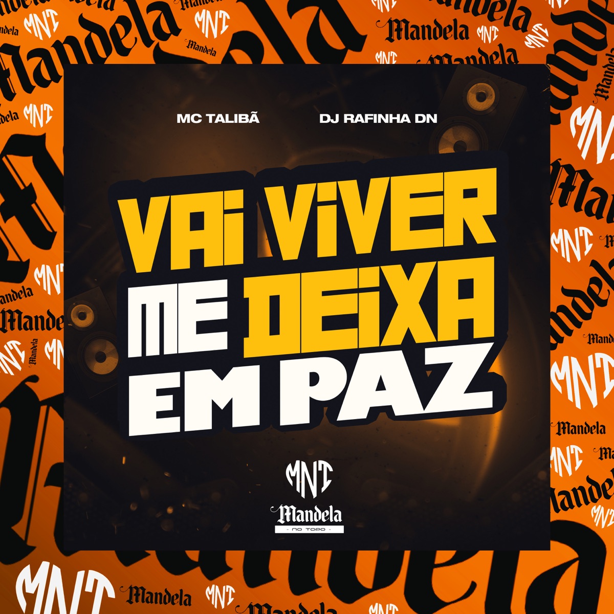 Vai Viver Me Deixa em Paz (feat. MC Talibã) - Single by DJ RAFINHA DN album cover