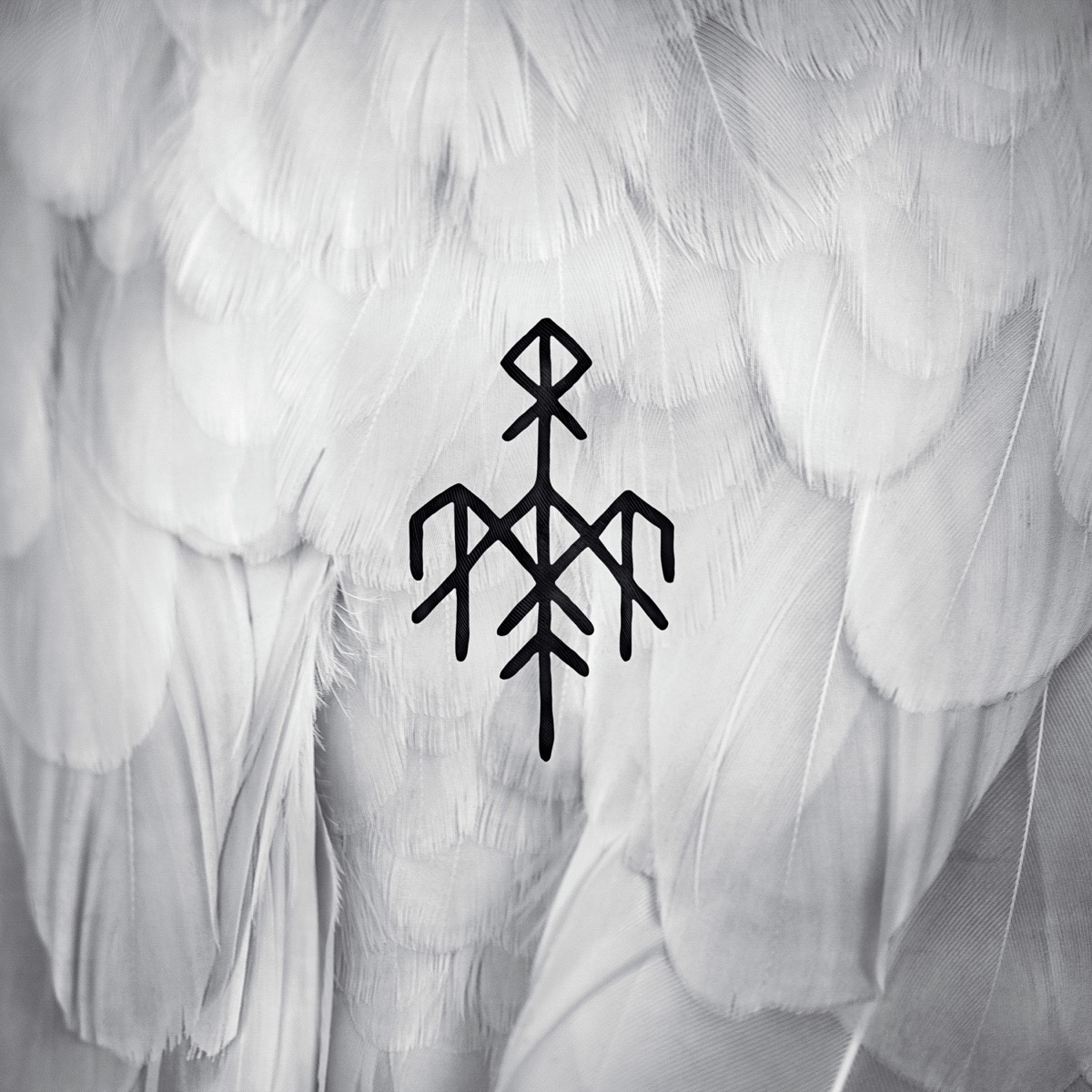 Kvitravn - First Flight of the White Raven by Wardruna album cover