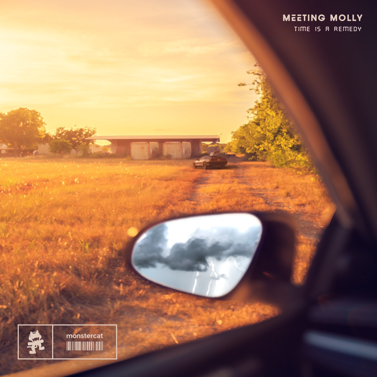 Time Is a Remedy - EP by Meeting Molly album cover