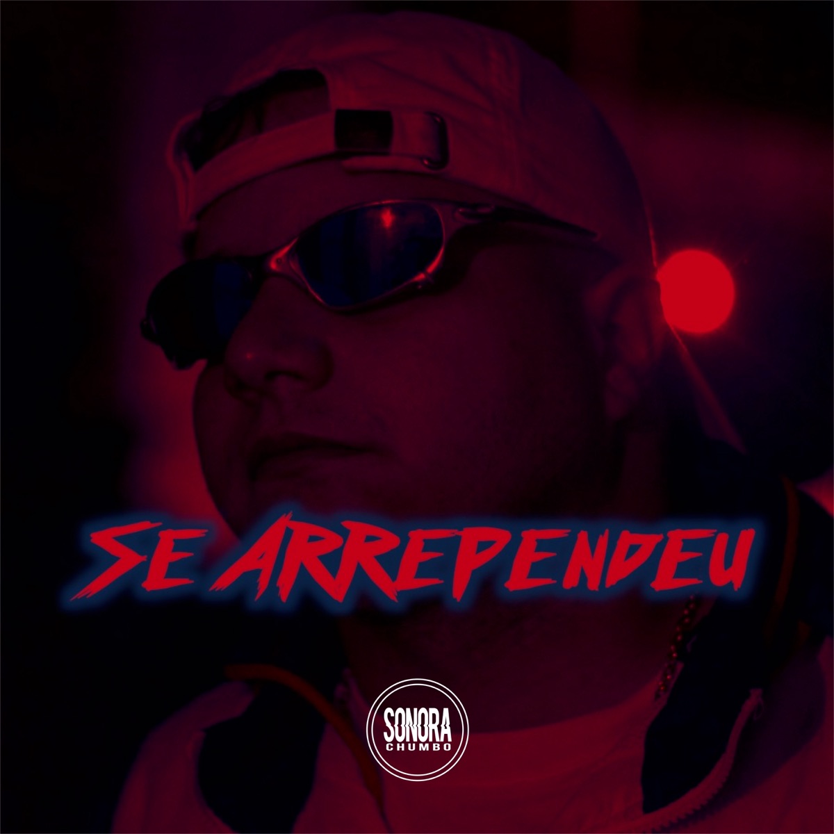 Se Arrependeu - Single by Mc Menor da Capital album cover