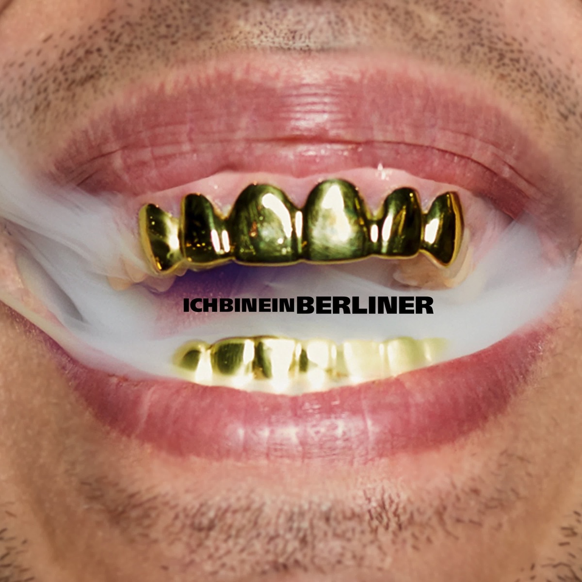 Ich bin ein Berliner by Ufo361 album cover