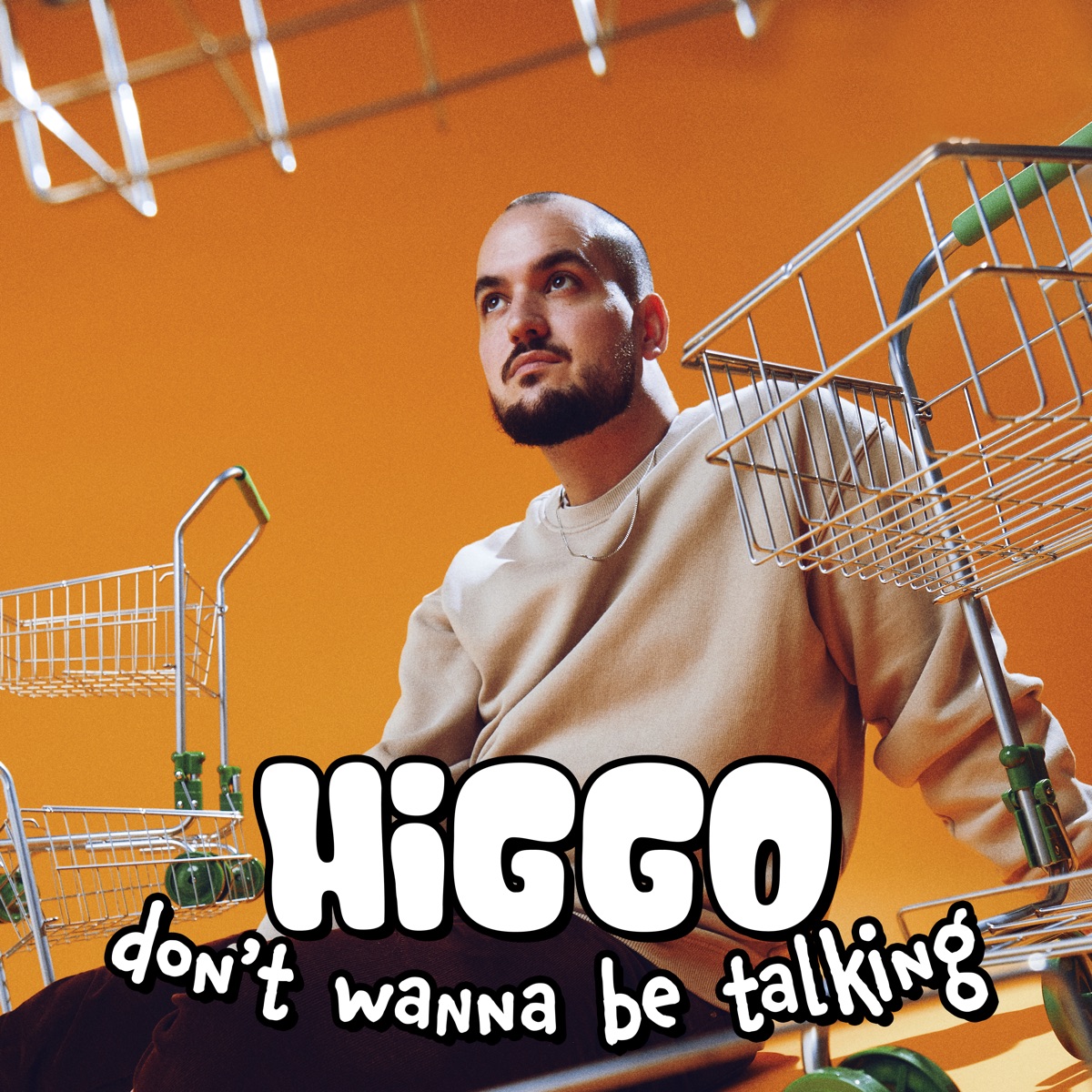 Don't Wanna Be Talking - Single by Higgo album cover