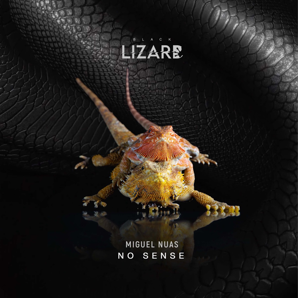 No Sense - Single by Miguel Nuas album cover