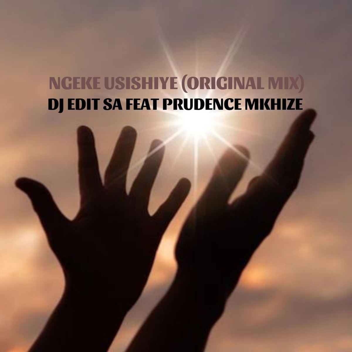 Ngeke Usishiye (feat. Prudence Mkhize) - Single by DJ Edit SA album cover