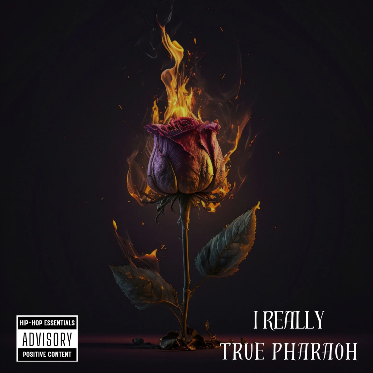 I Really - Single by True Pharaoh album cover