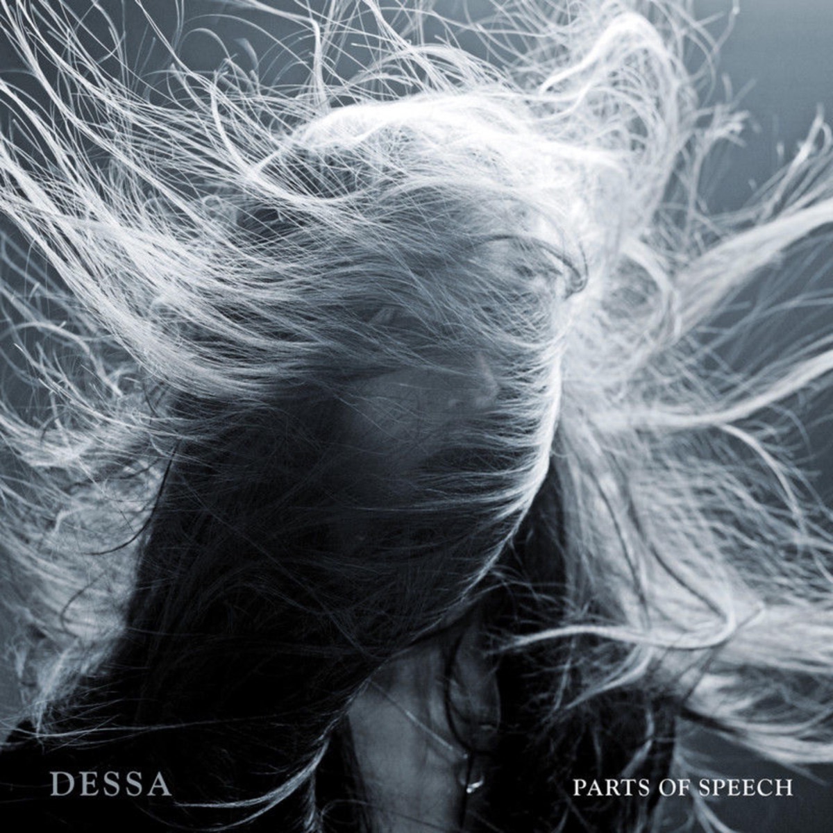 Parts of Speech by Dessa album cover