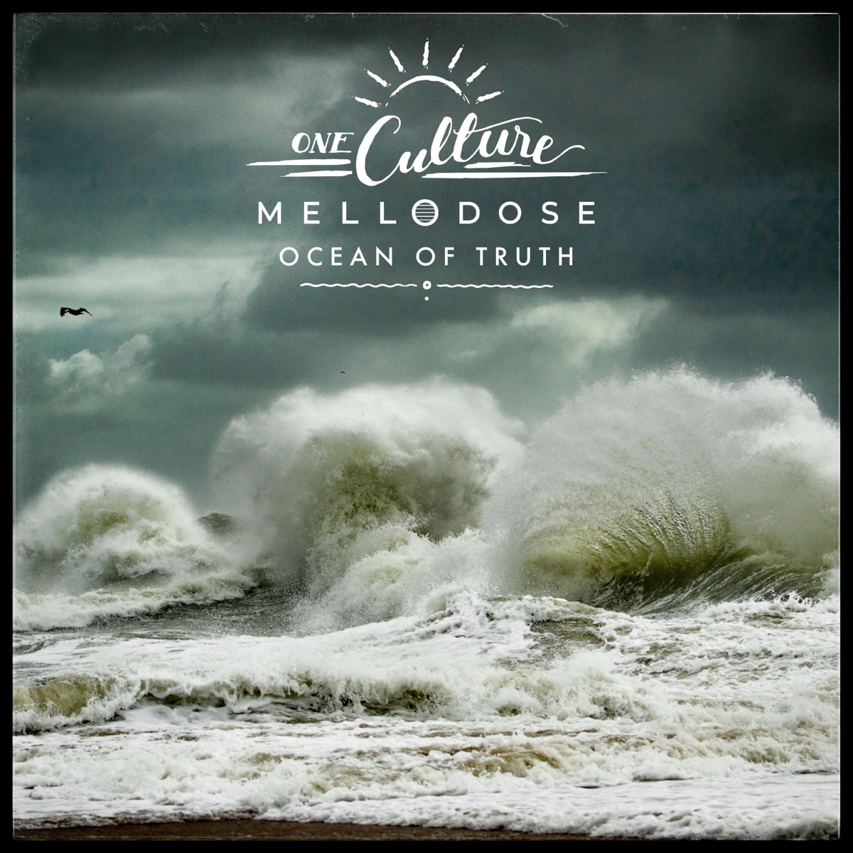 Ocean of Truth by One Culture & Mellodose album cover