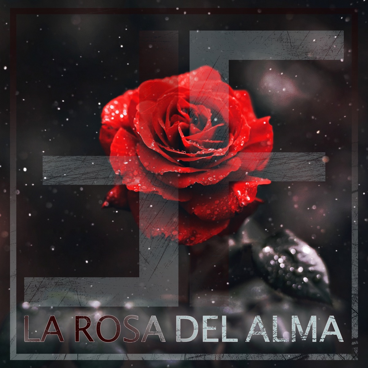 La Rosa del Alma - Single by Fran Flores album cover