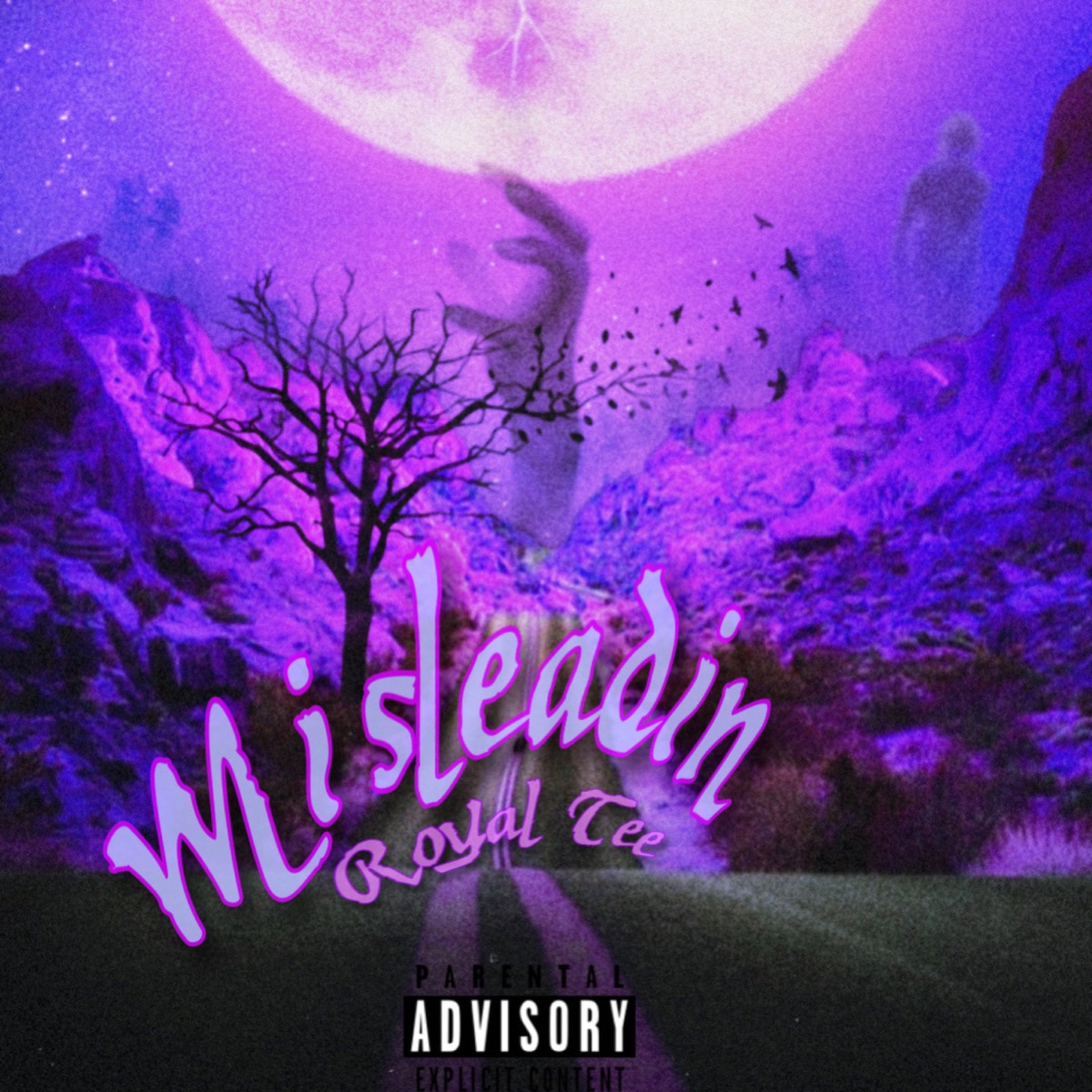 Misleadin - Single by Royal Tee album cover