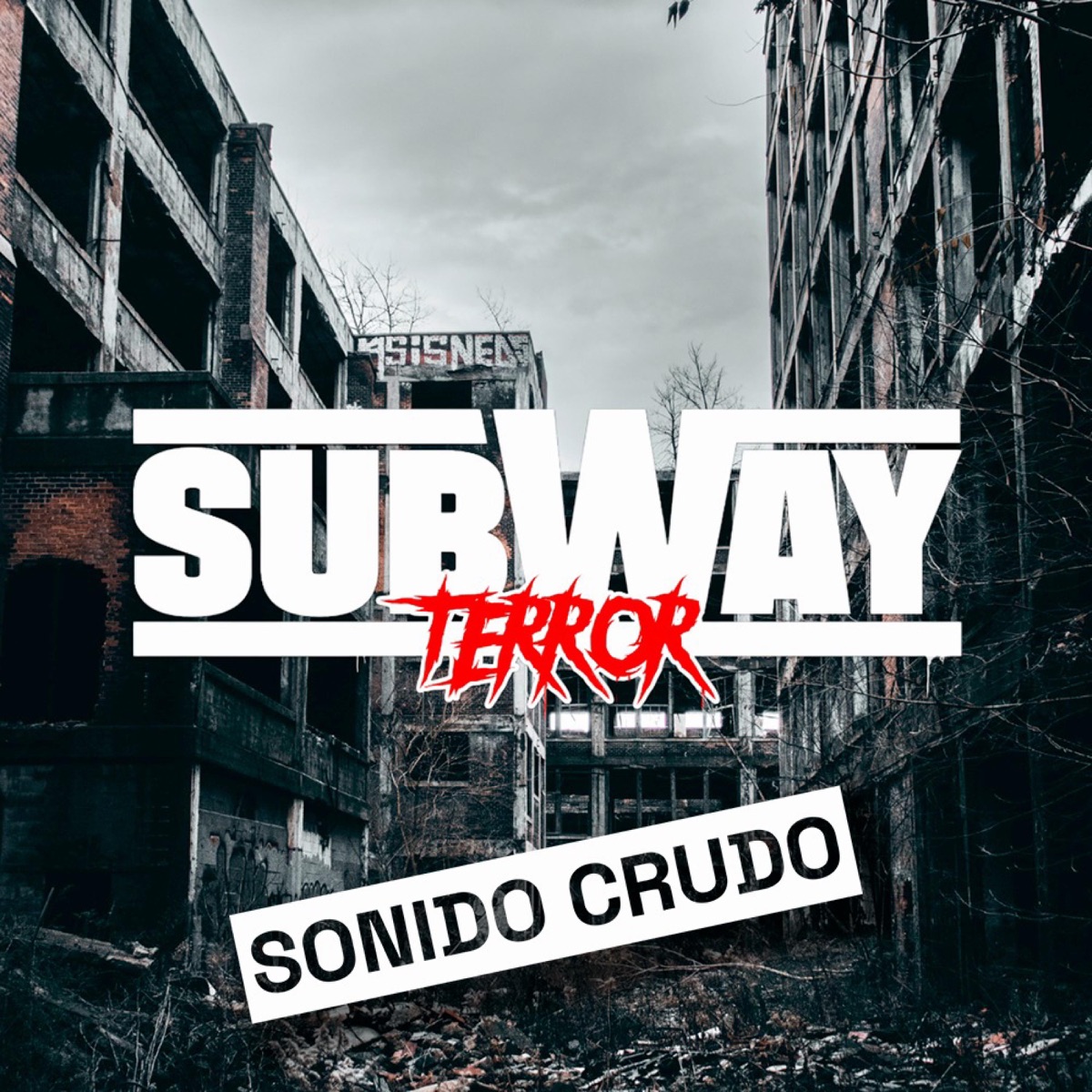 Sonido Crudo - Single by Subway Terror album cover