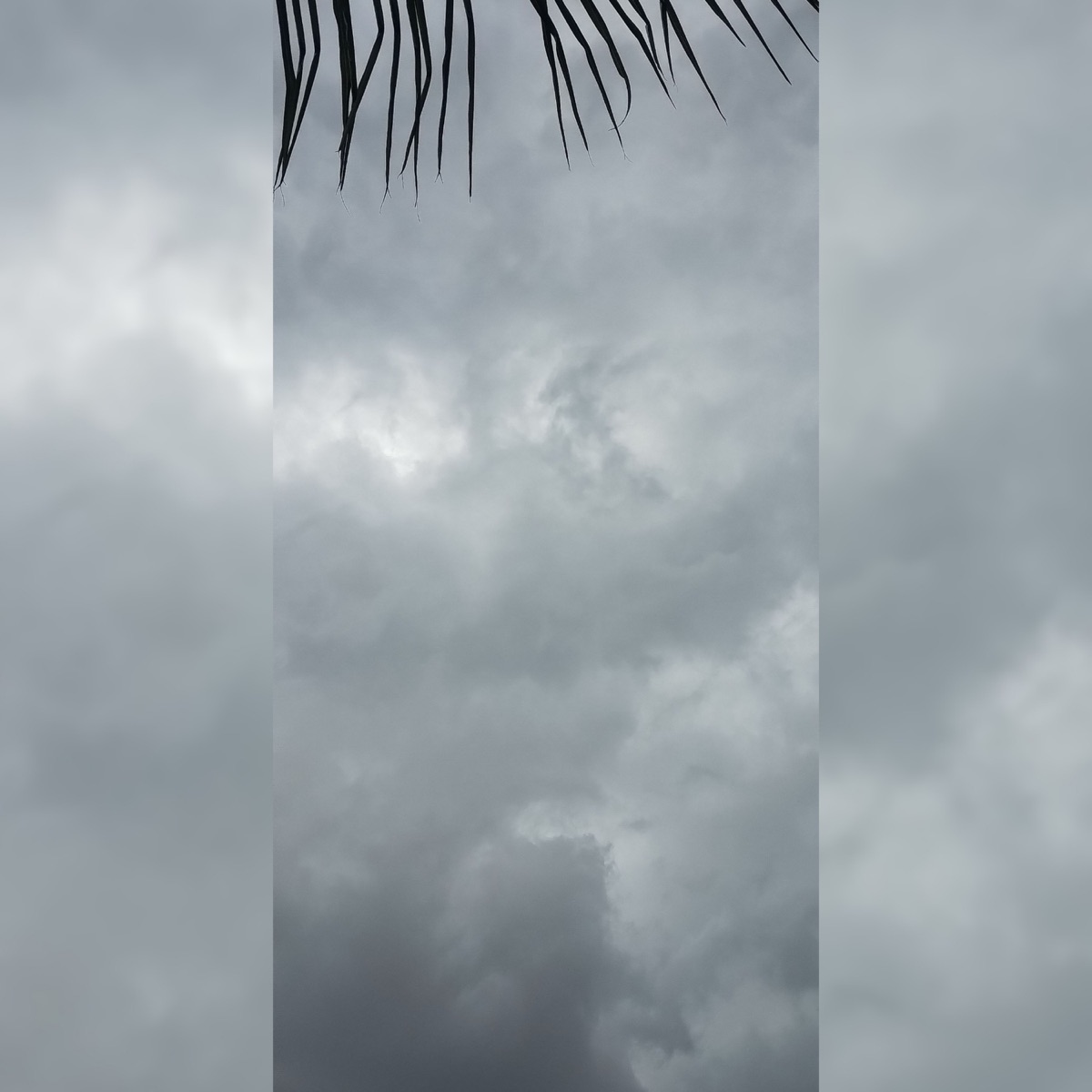 Netflix - Single by Mc Cleitinho album cover