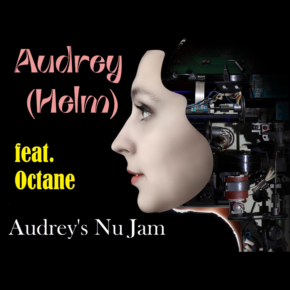 Audrey's Nu Jam (feat. Octane & Professor P-Soop) - Single by Audrey Helm album cover