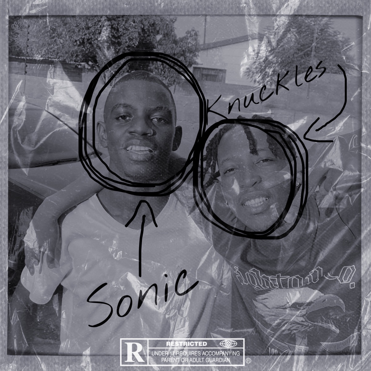 The STORY of SONIC & KNUCKLES (Instrumental) - Single by Protocol Killic album cover