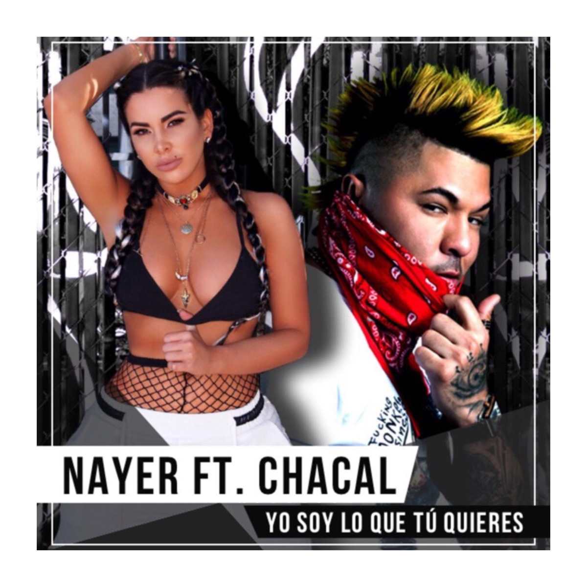 Yo Soy Lo Que Tu Quieres (feat. Chacal) - Single by Nayer album cover