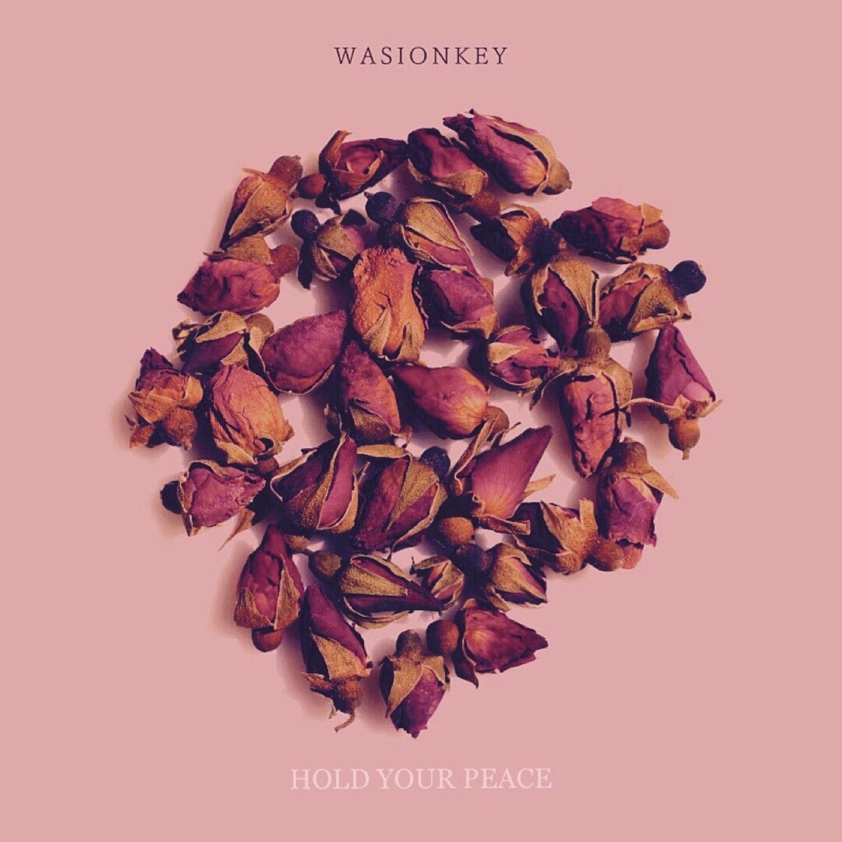 Hold Your Peace - Single by Wasionkey album cover