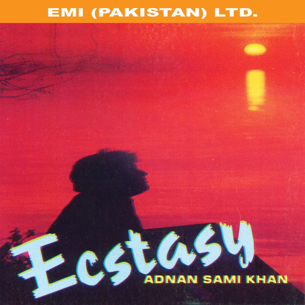 Ecstasy Adnan Sami Khan by Adnan Sami album cover