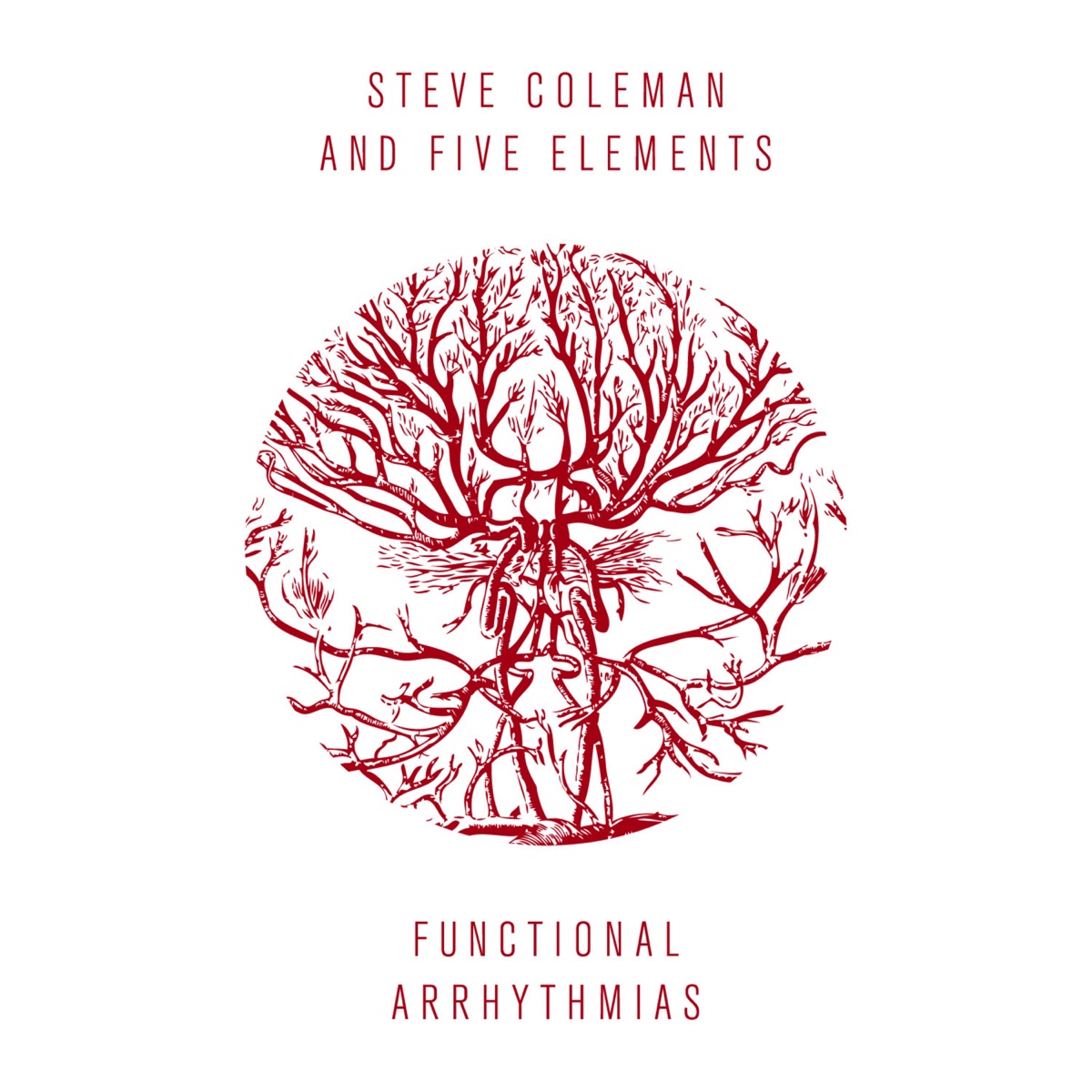 Functional Arrhythmias (feat. Jonathan Finlayson, Sean Rickman, Miles Okazaki, Anthony Tidd & Steve Coleman) by Steve Coleman & Five Elements album cover