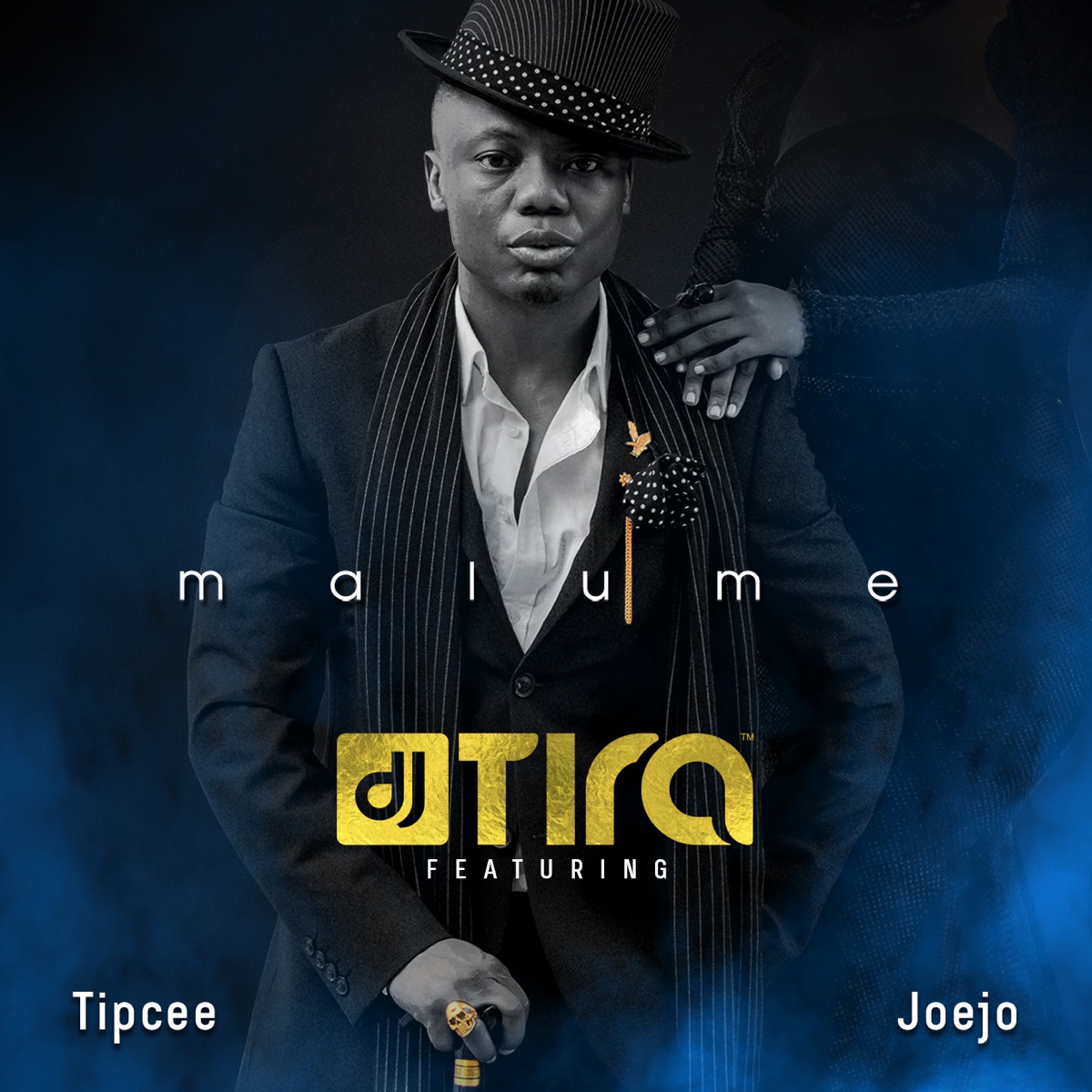 Malume (feat. Tipcee & Joejo) - Single by DJ Tira album cover