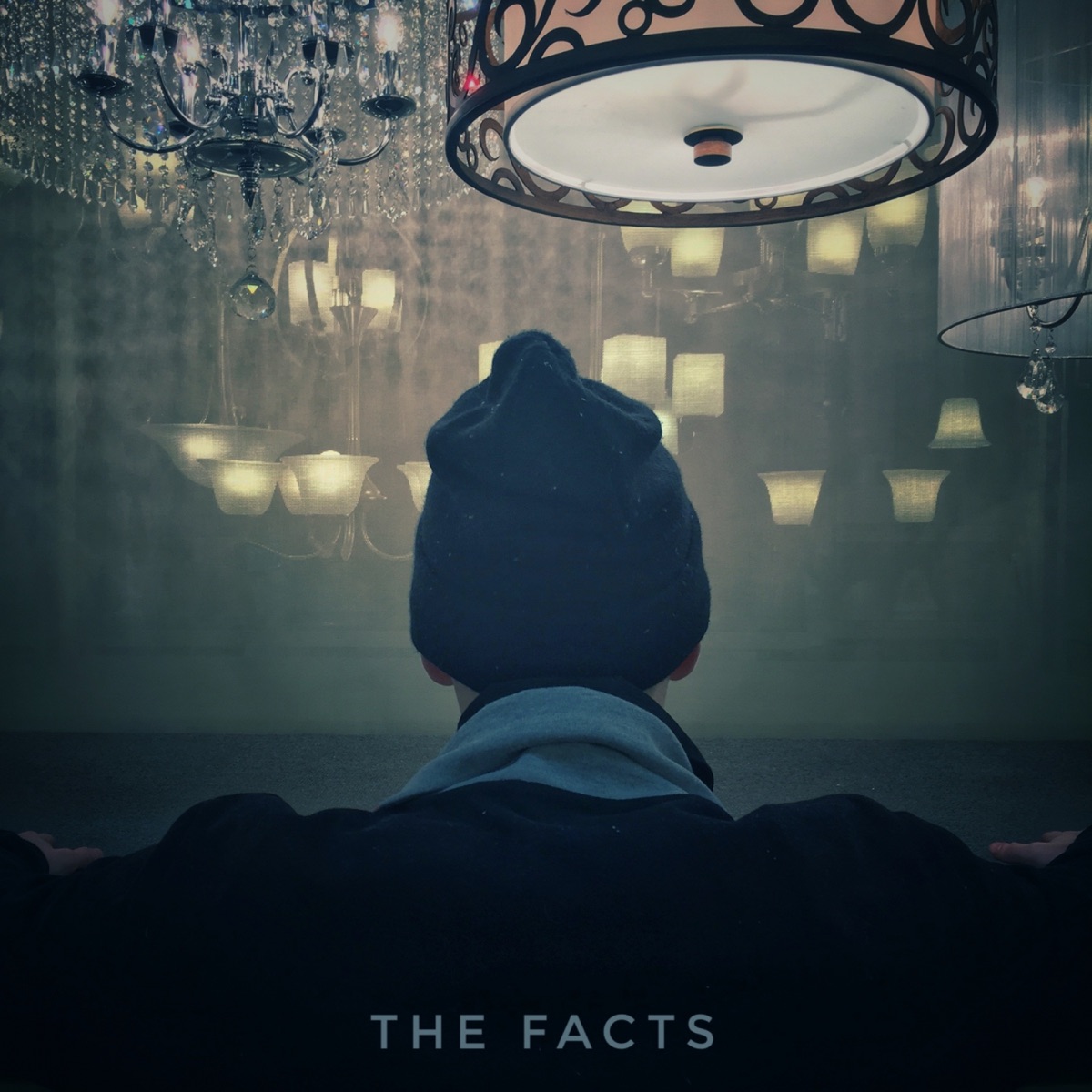 The Facts - Single by Kid Smid album cover