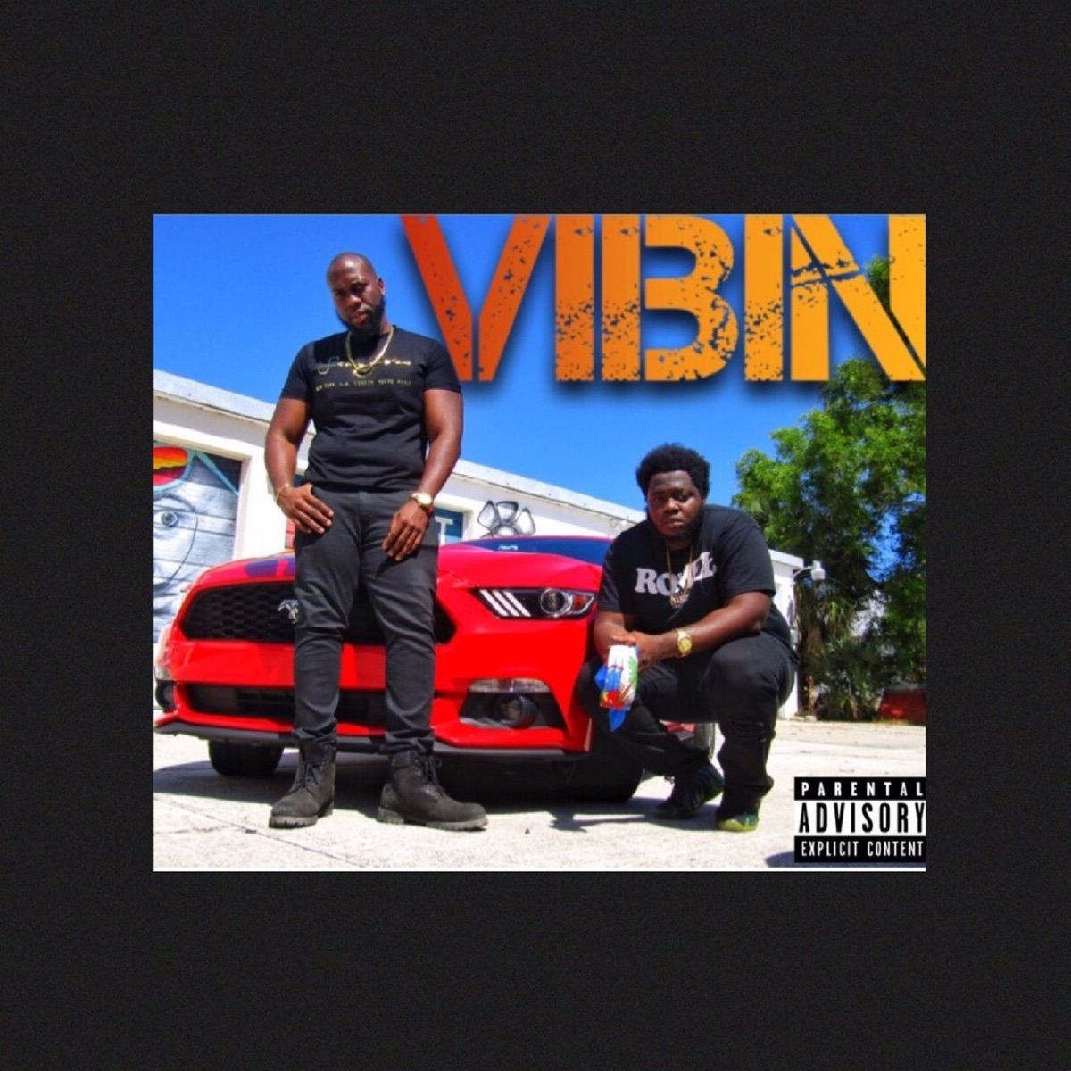 Vibin - Single by K.S & Romel album cover