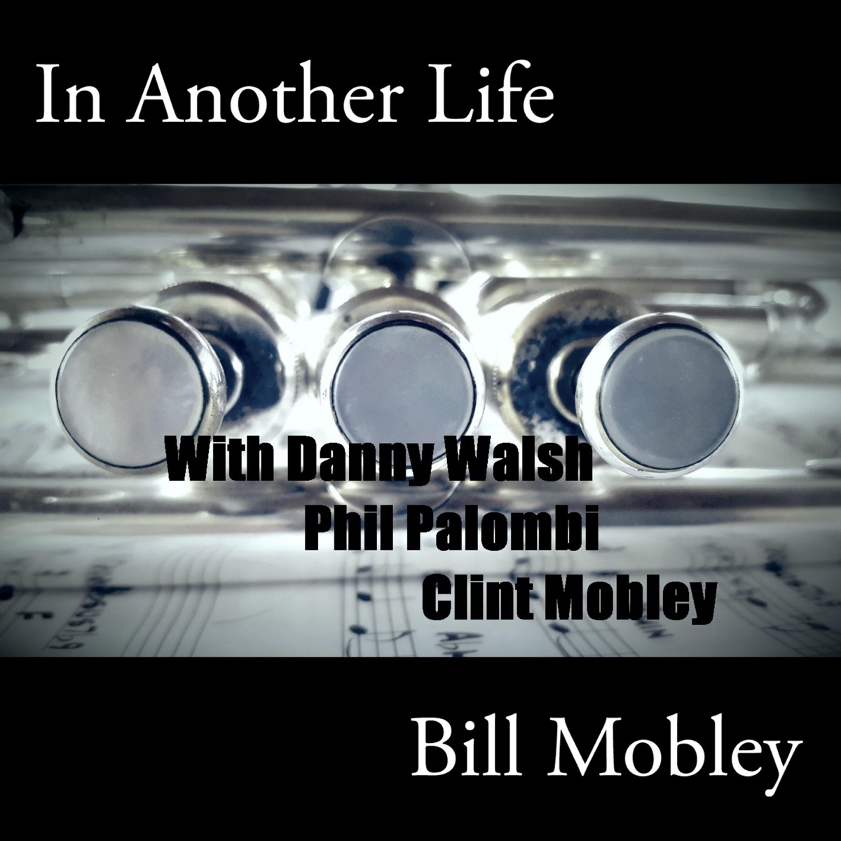 In Another Life (feat. Danny Walsh, Phil Palombi & Clint Mobley) - Single by Bill Mobley album cover