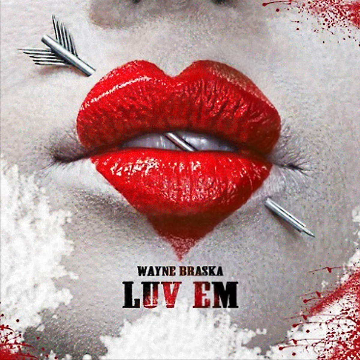 Luv 'em - Single by Wayne Braska album cover