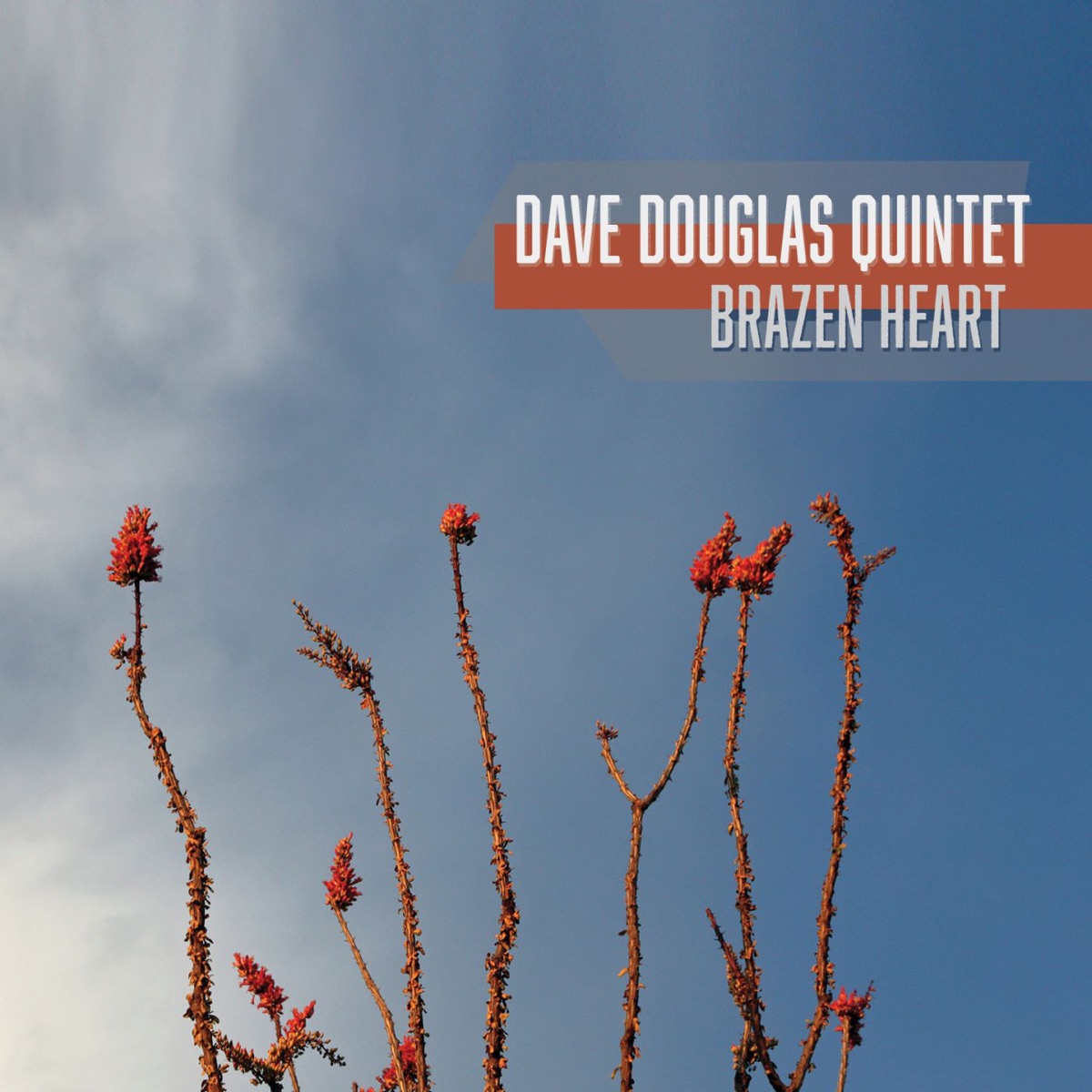 Brazen Heart (feat. Jon Irabagon, Matt Mitchell, Linda Oh & Rudy Royston) by Dave Douglas Quintet album cover