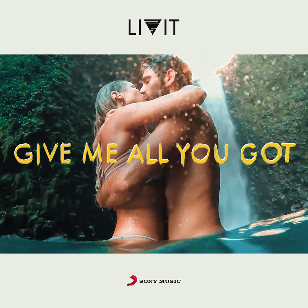 Give Me All You Got - Single by LIVIT album cover