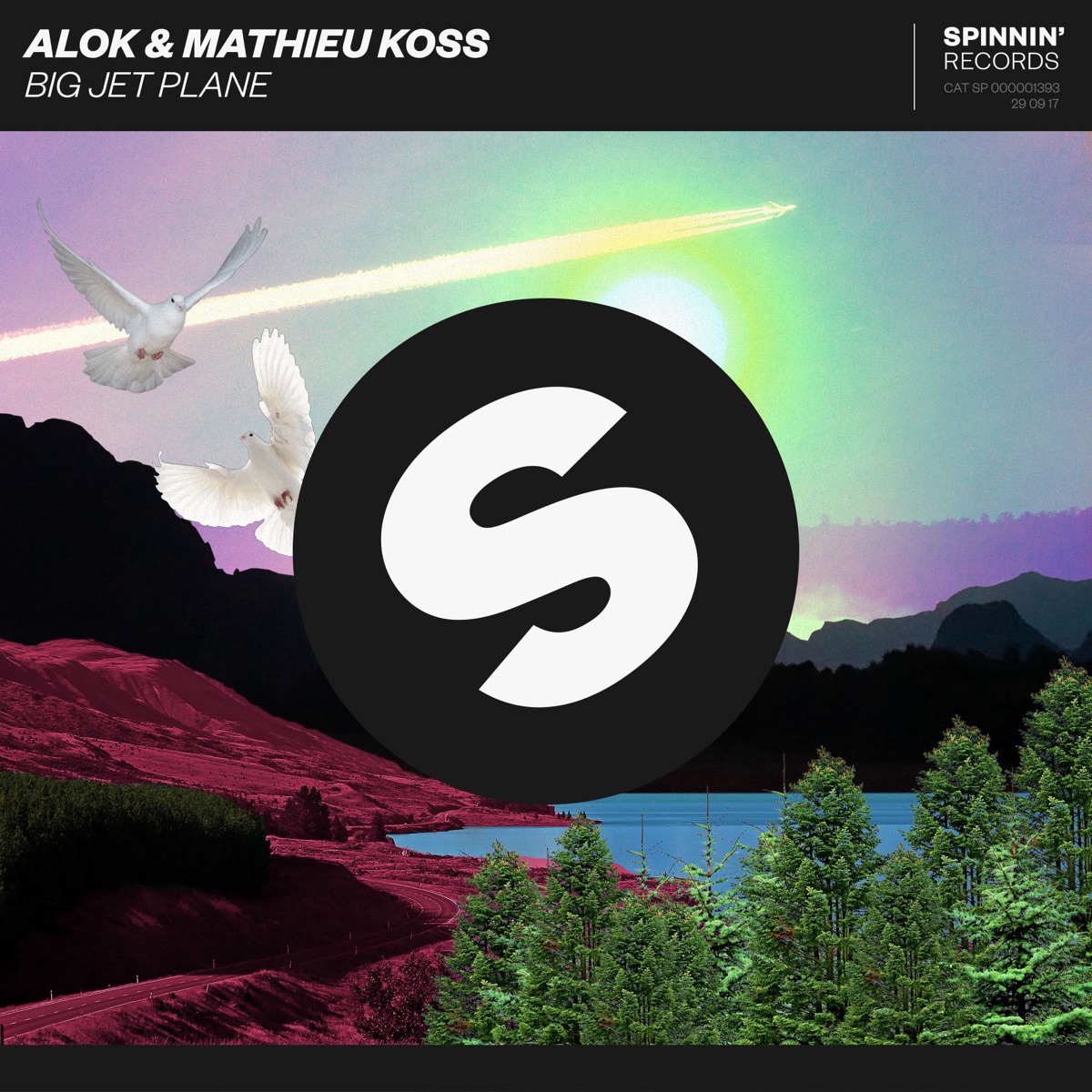 Big Jet Plane - Single by Alok & Mathieu Koss album cover