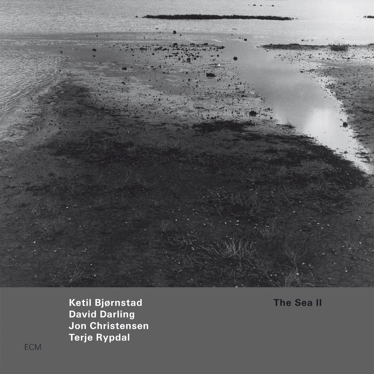 The Sea II by David Darling, Ketil Bjørnstad, Jon Christensen & Terje Rypdal album cover