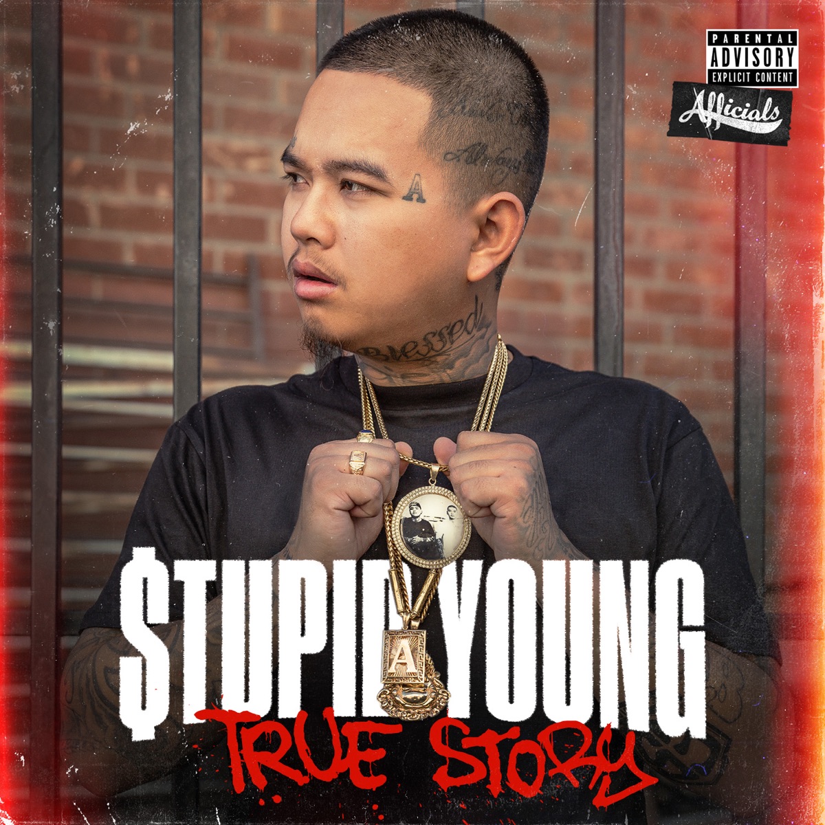 True Story by $tupid Young album cover