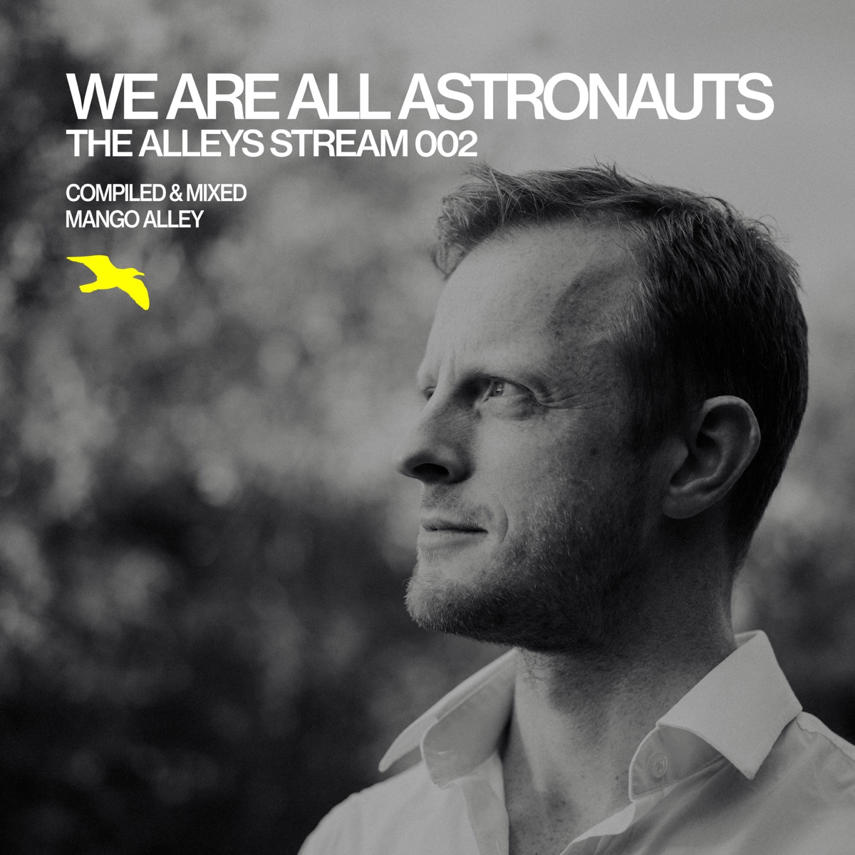 The ALLEYS Stream 002 / We Are All Astronauts (DJ Mix) by We Are All Astronauts & Mango Alley album cover