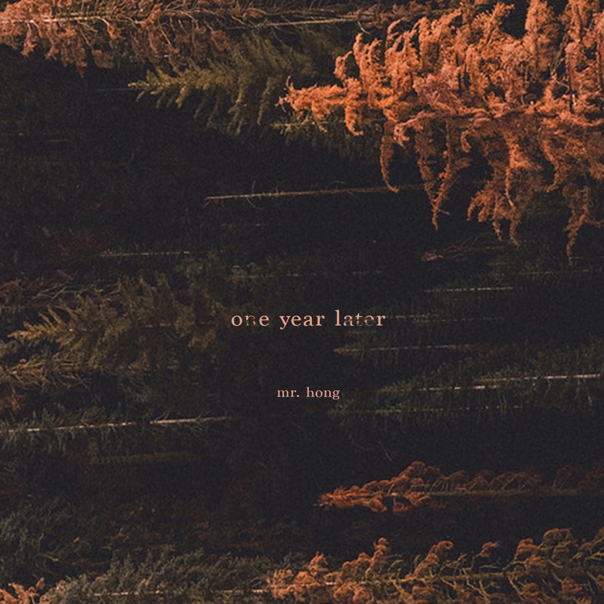 One Year Later - EP by Mr. Hong album cover