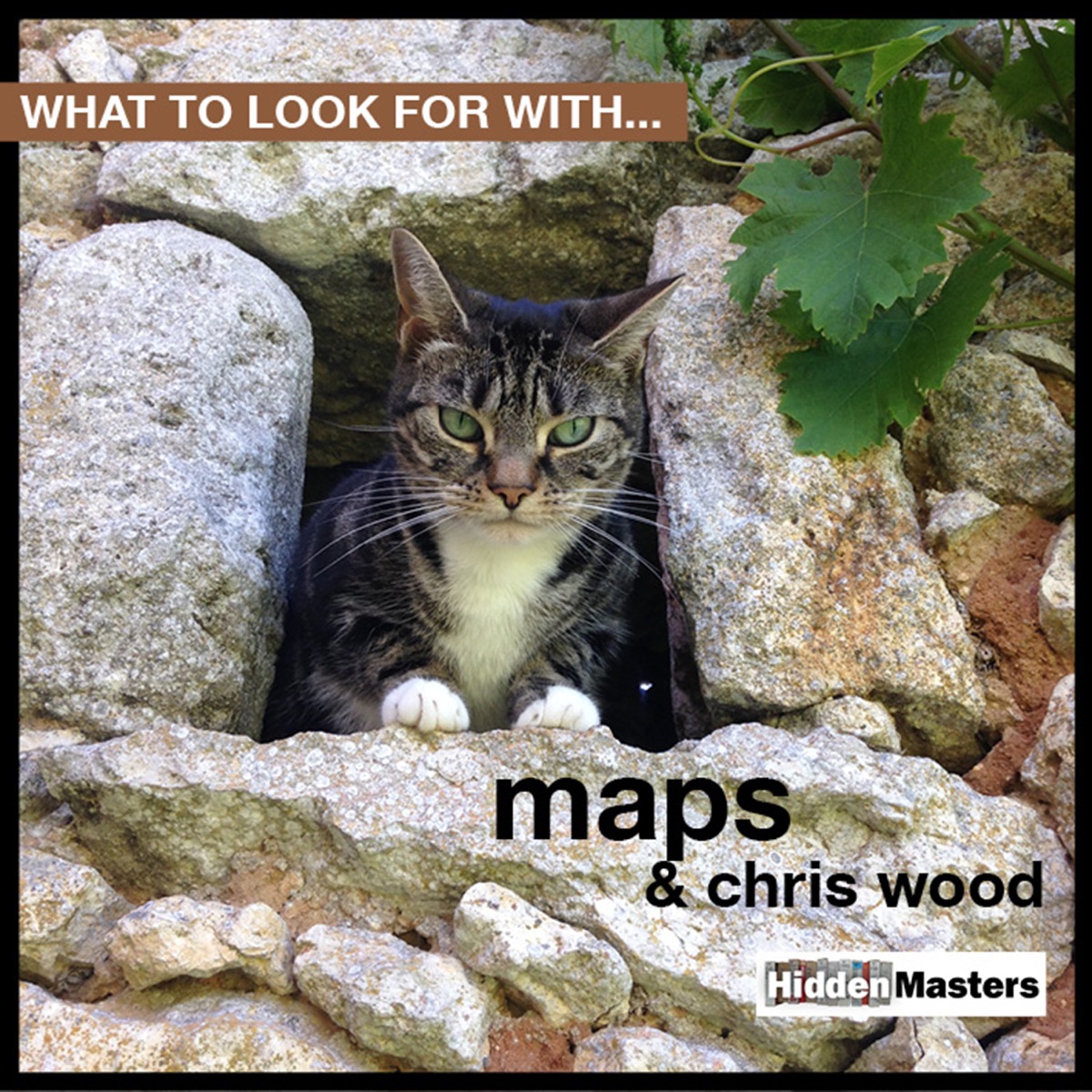 What to Look for With… - Single by Chris Wood & Maps album cover