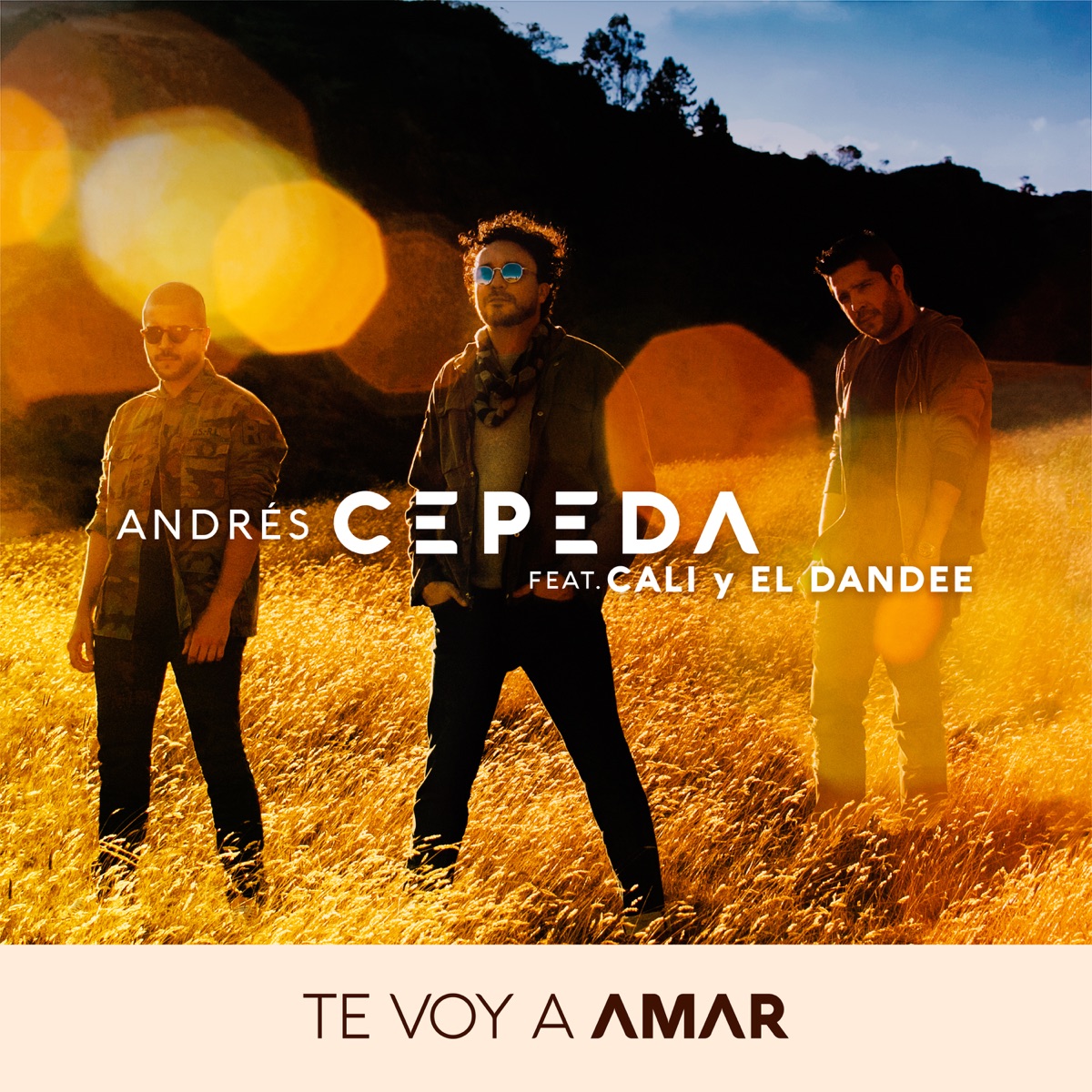 Te Voy a Amar (feat. Cali y El Dandee) - Single by Andrés Cepeda album cover