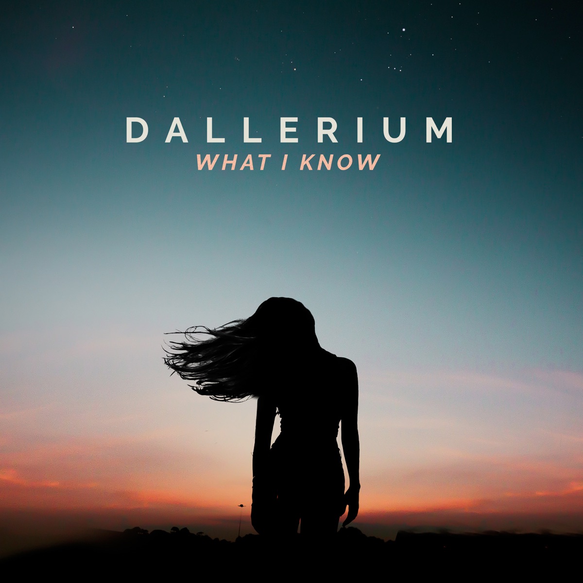 What I Know - Single by Dallerium album cover