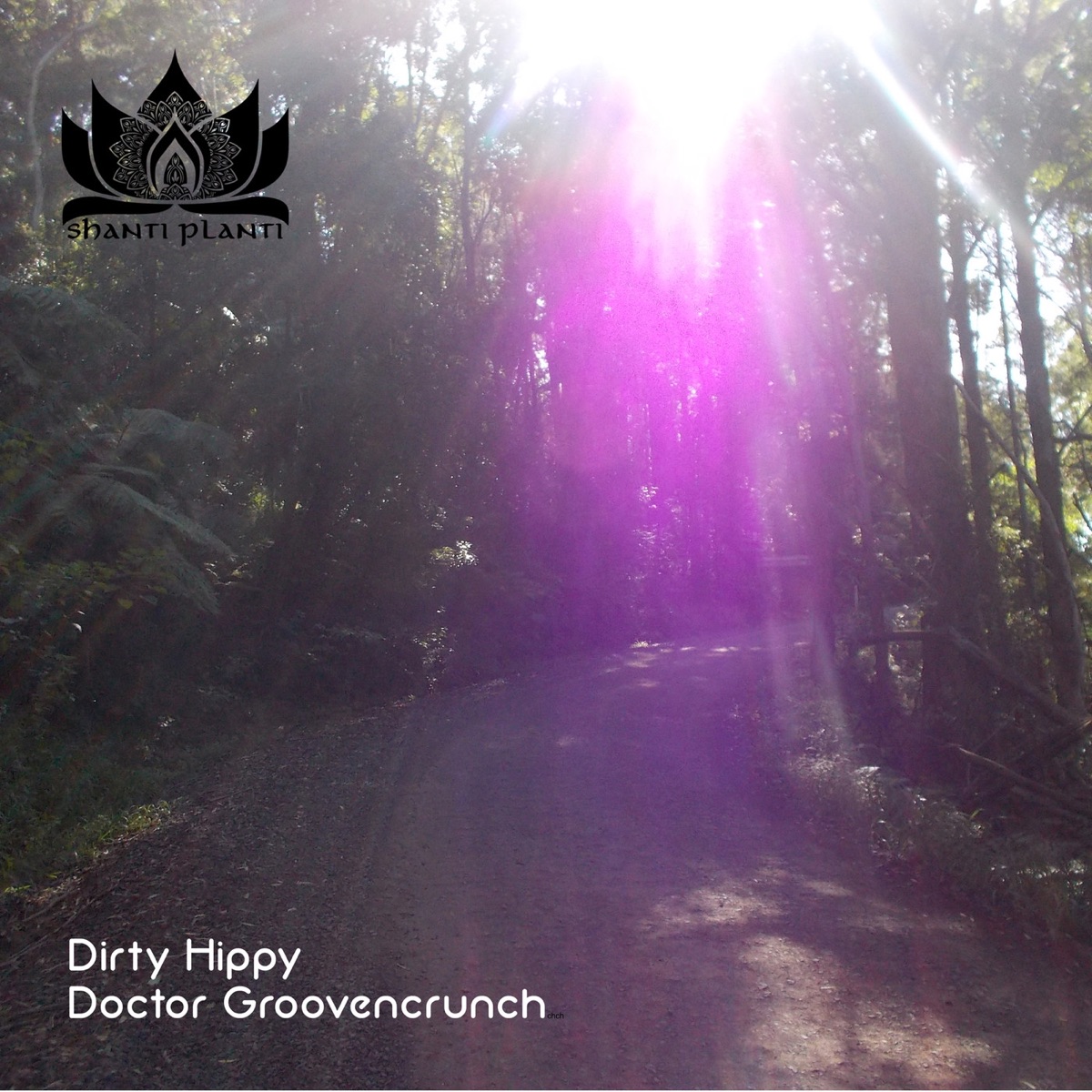Doctor Groovencrunch by Dirty Hippy album cover