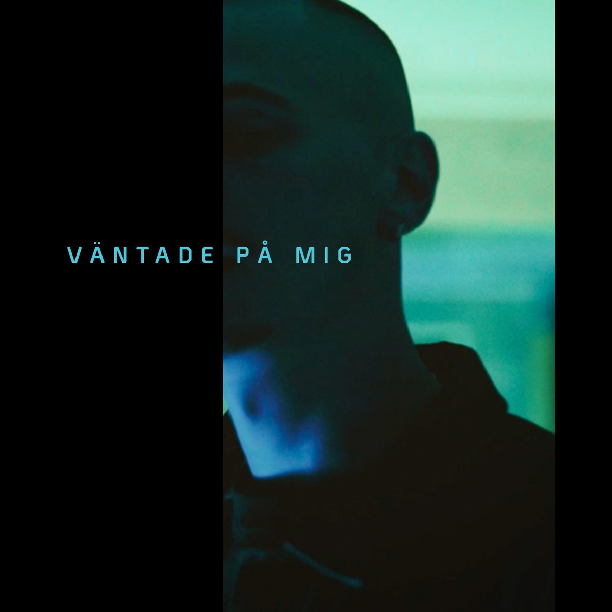 Väntade På Mig - Single by huset album cover