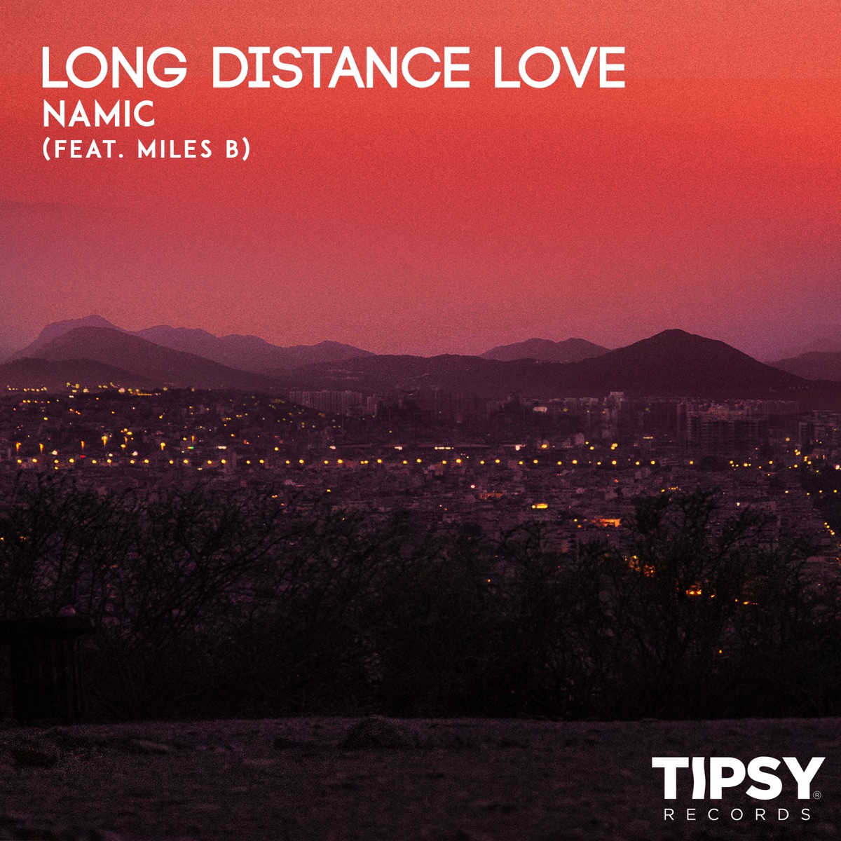 Long Distance Love (feat. Miles B.) - Single by Namic album cover