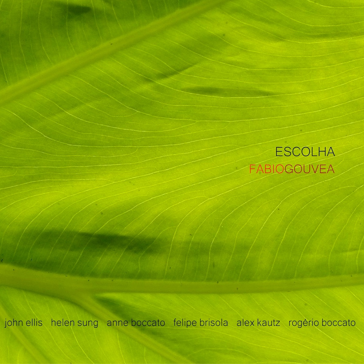 Escolha by Fabio Gouvea album cover