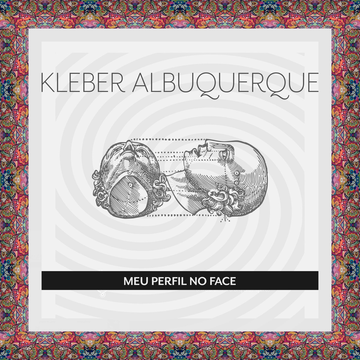 Meu Perfil no Face - Single by Kléber Albuquerque album cover