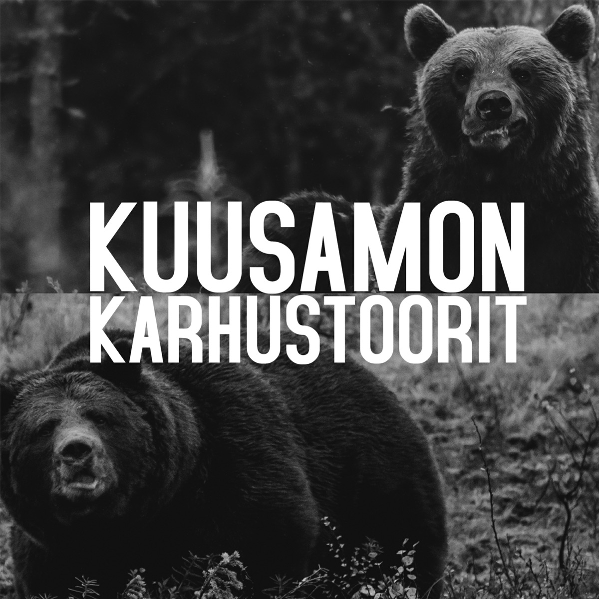 Kuusamon karhustoorit - Single by Trk album cover