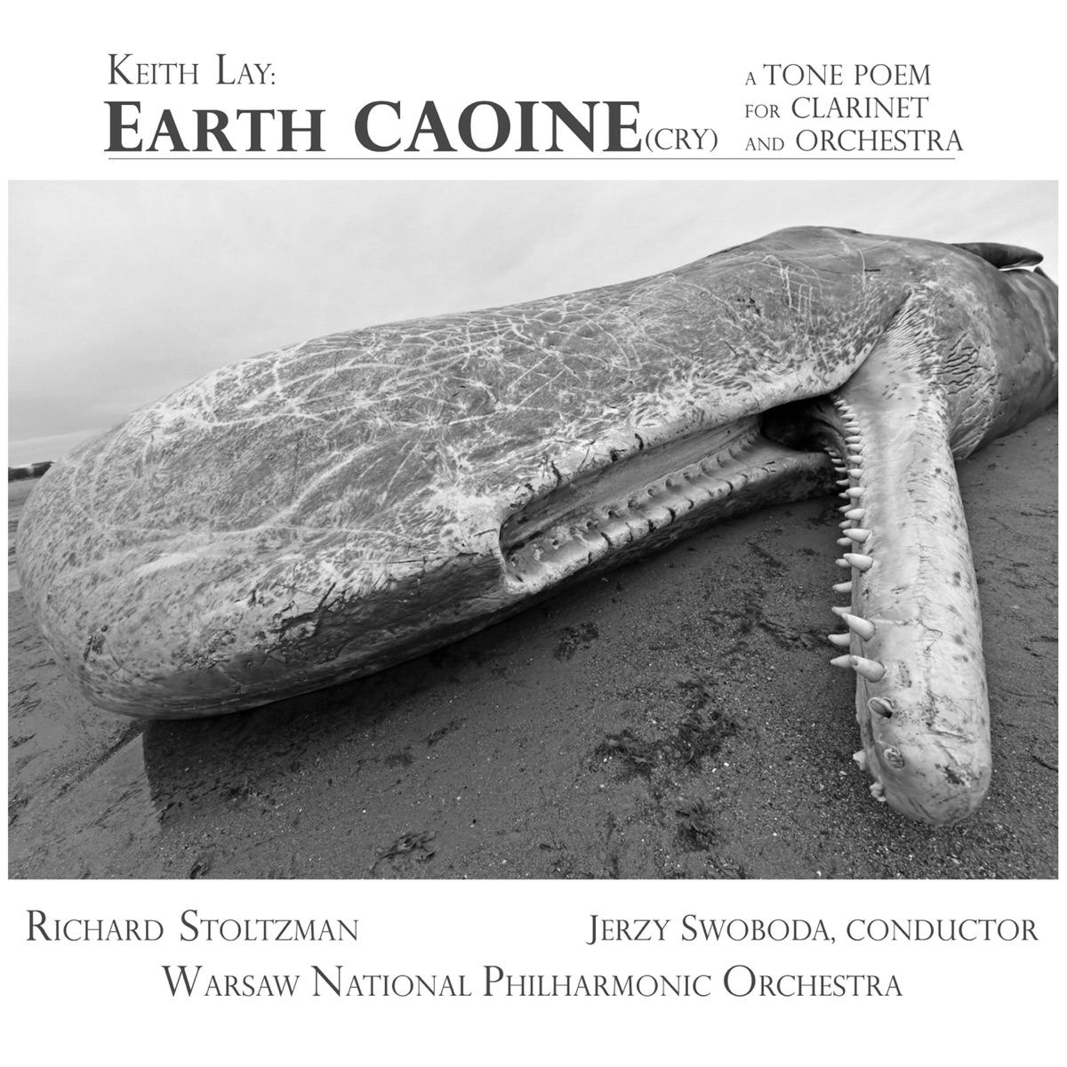 Keith Lay: Earth Caoine (Earth Cry) - Single by Richard Stoltzman, Warsaw Philharmonic Orchestra & Jerzy Swoboda album cover