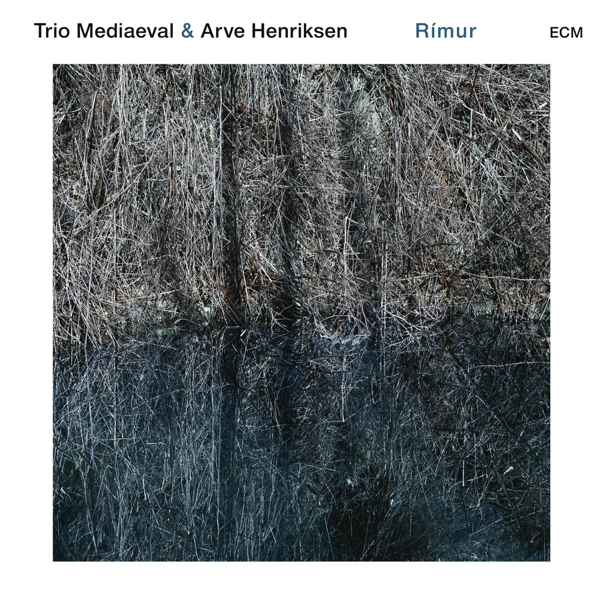 Rímur by Trio Mediæval & Arve Henriksen album cover