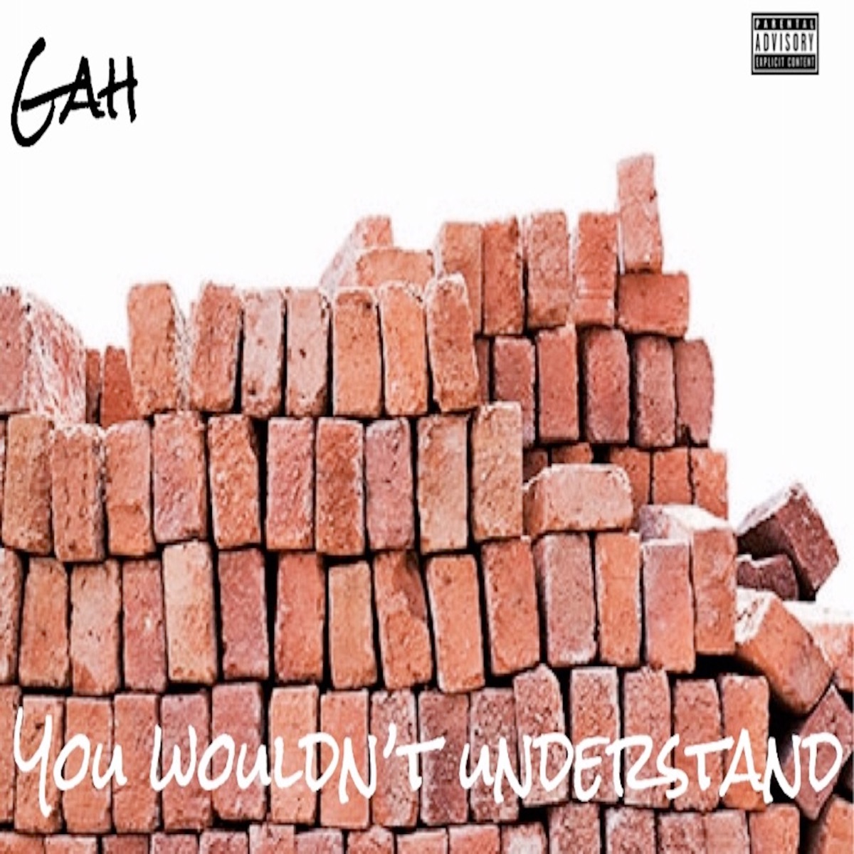 You Wouldn't Understand - Single by Gah album cover