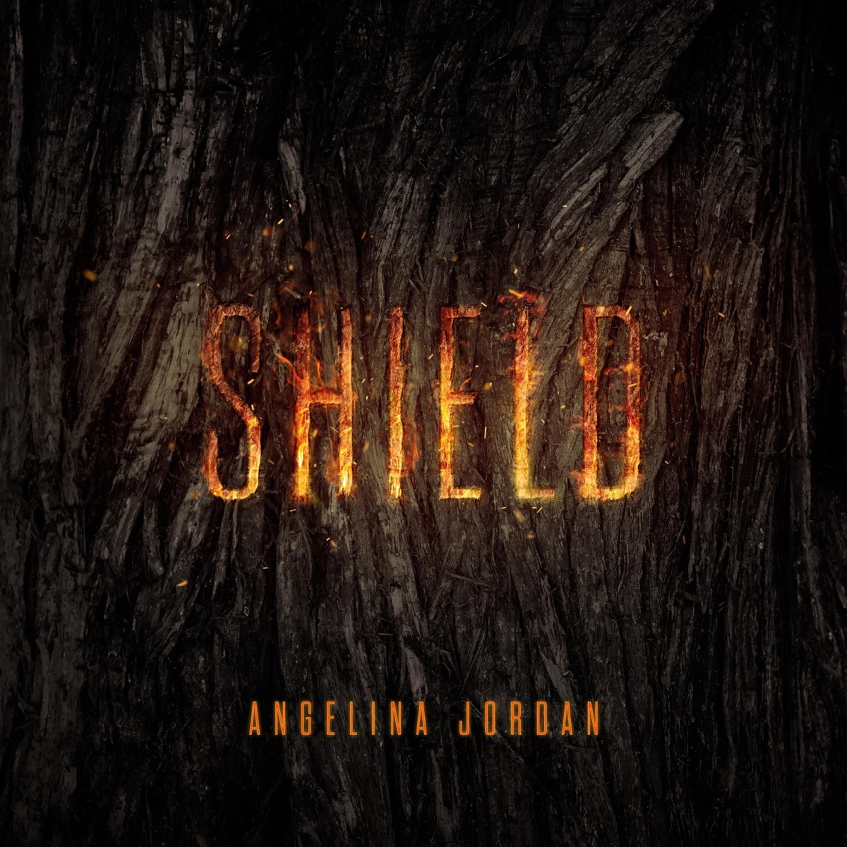 Shield - Single by Angelina Jordan album cover